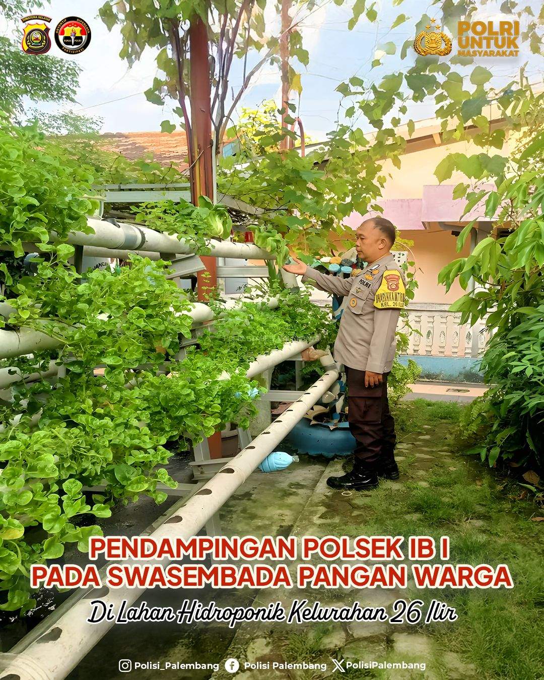 Pendampingan Polsek IB I Pada Swasembada Pangan Warga, Di Lahan Hidroponik Kelurahan 26 Ilir