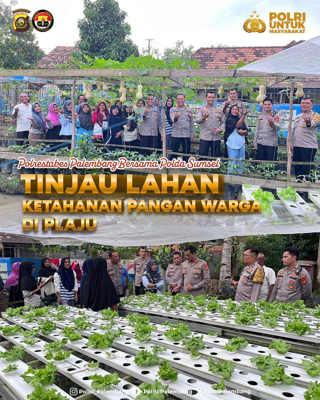 Polrestabes Palembang Bersama Polda Sumsel Tinjau Lahan Ketahanan Pangan Warga di Plaju