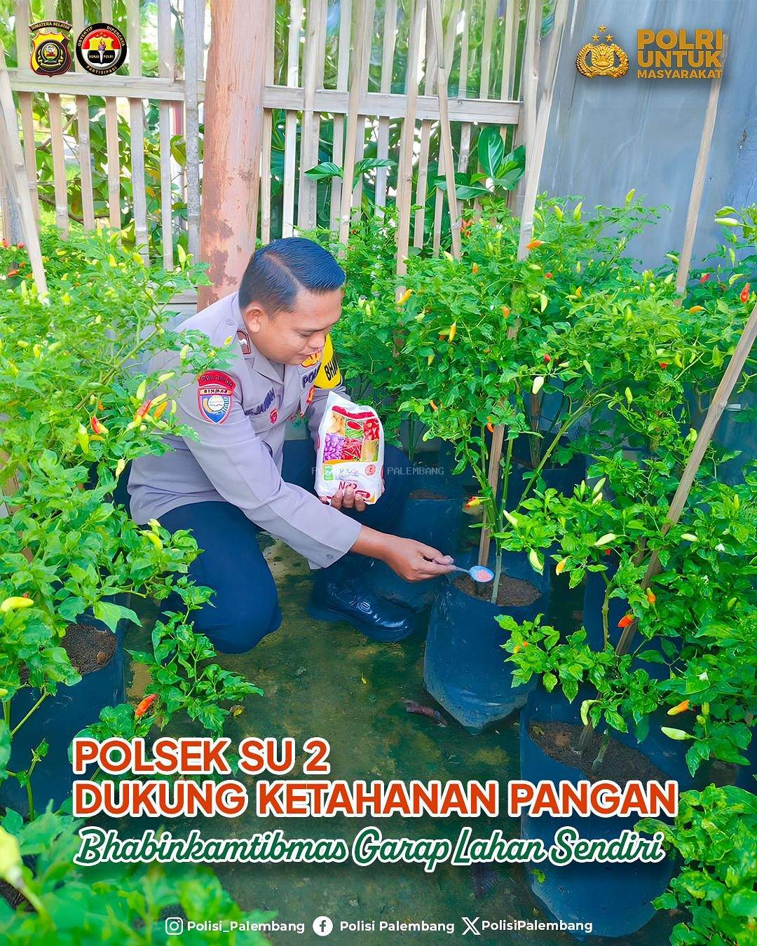 Polsek SU 2 Dukung Ketahanan Pangan, Bhabinkamtibmas Garap Lahan Sendiri